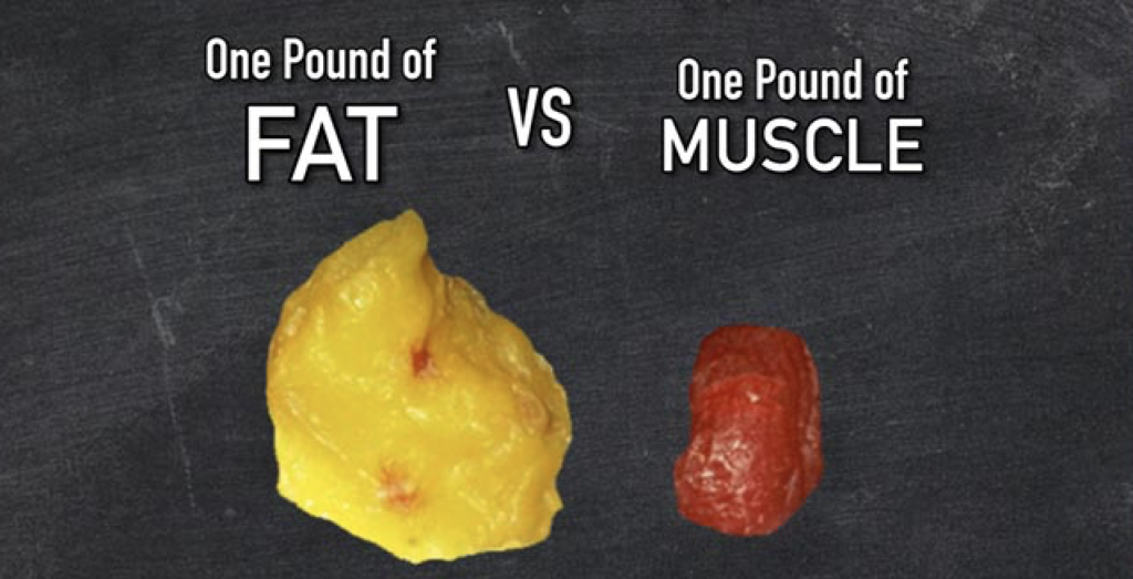 What’s the Difference Between Fat Loss and Weight Loss? - The Body Squad