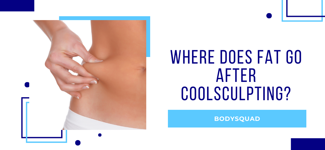 BodySquad banner "where does fat go after CoolSculpting"